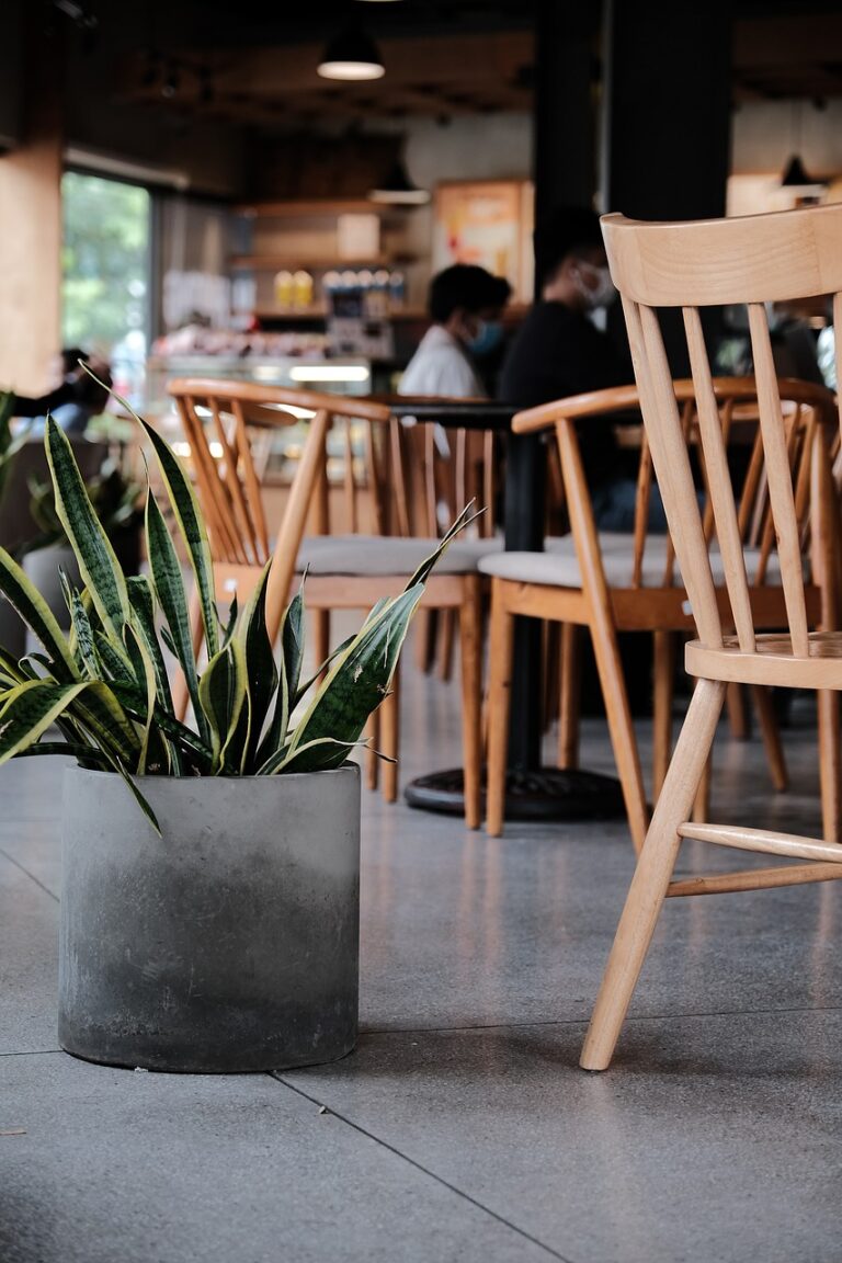 stil de viata minimalist