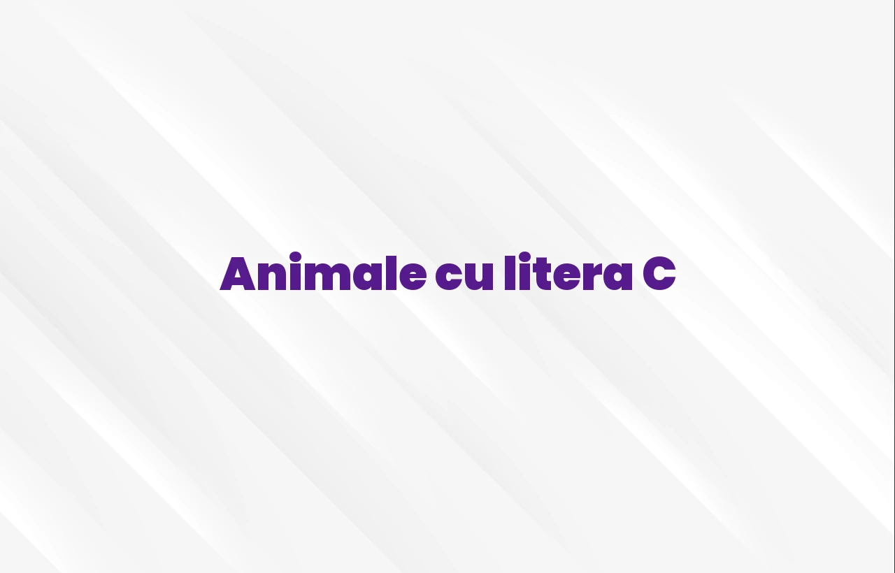 Animale cu litera C Animale cu litera C