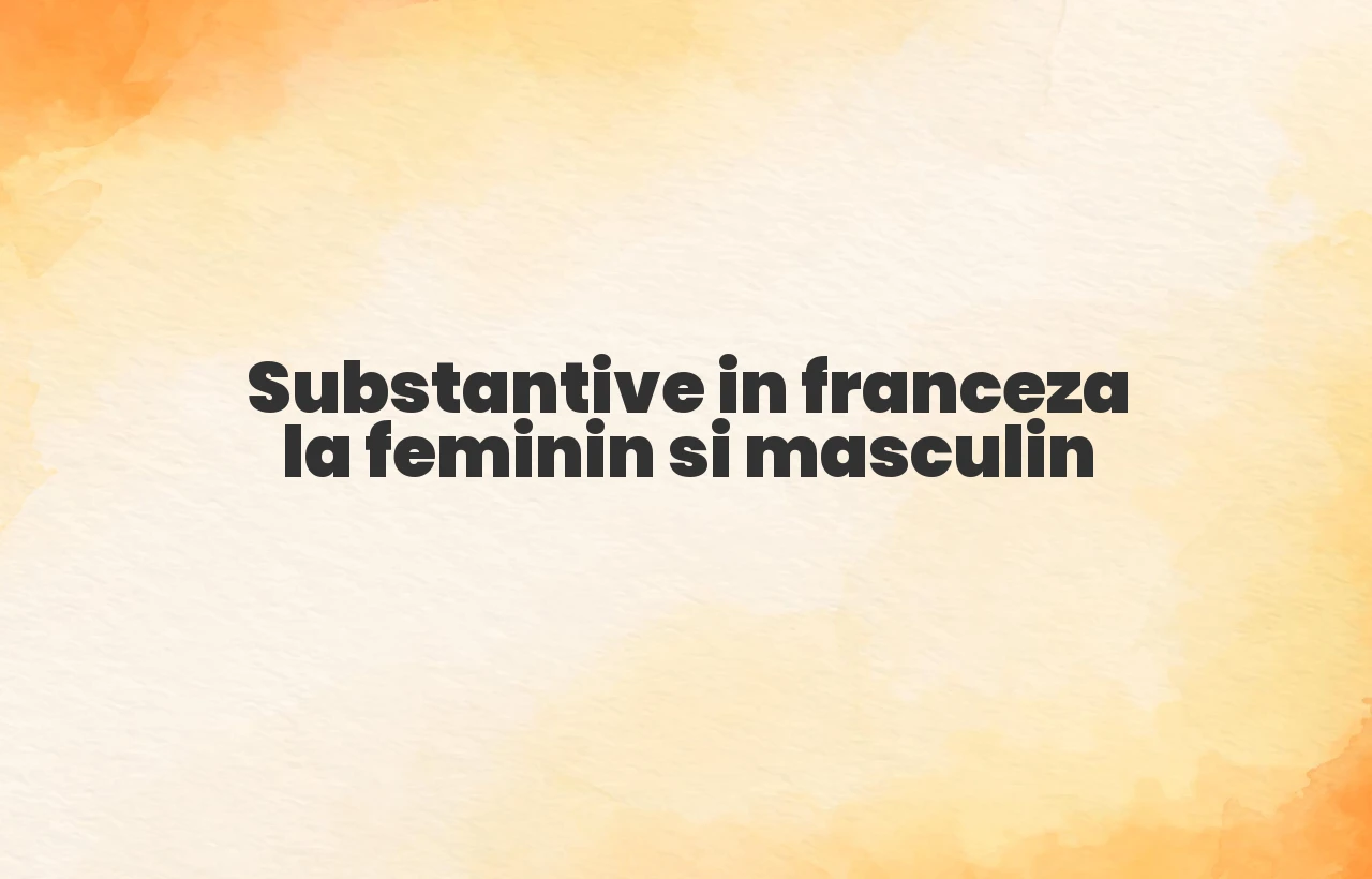 Substantive in franceza la feminin si masculin Substantive in franceza la feminin si masculin