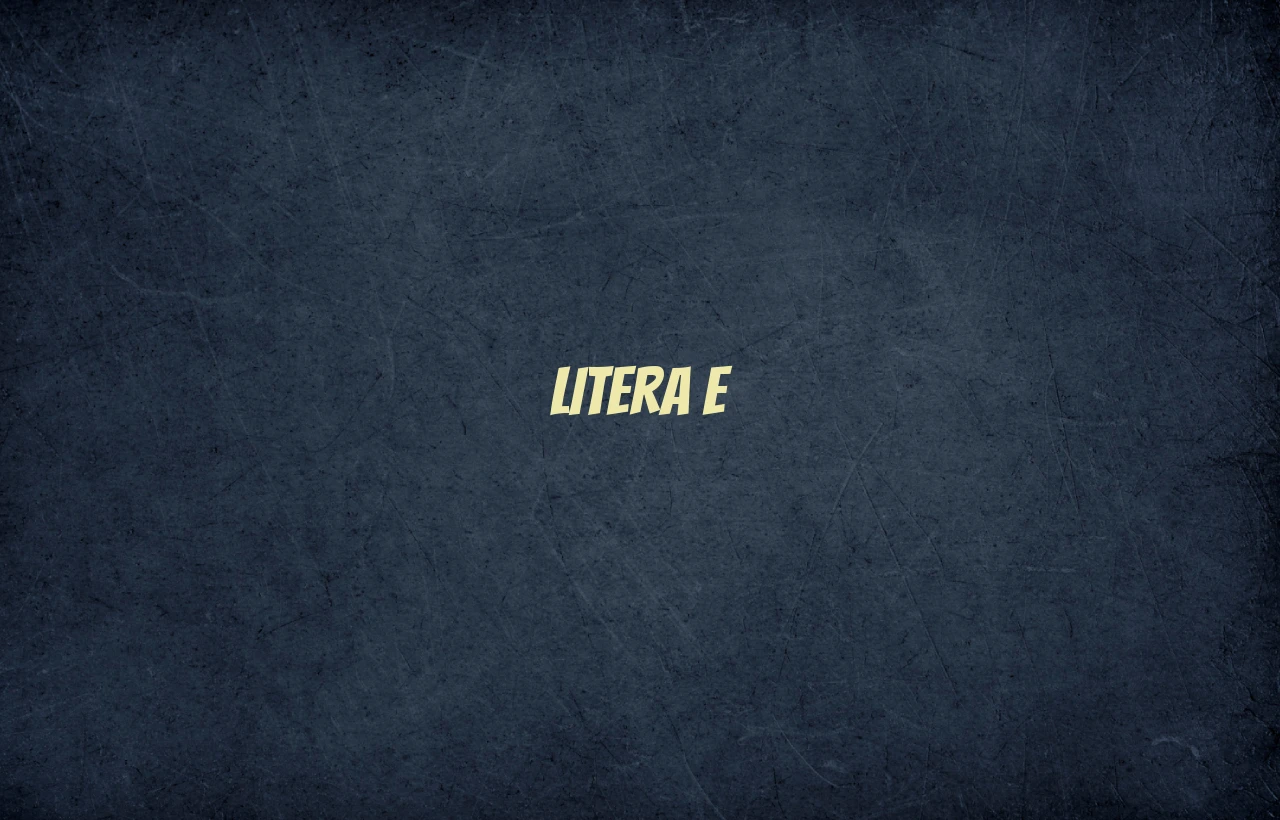 Litera E Litera E