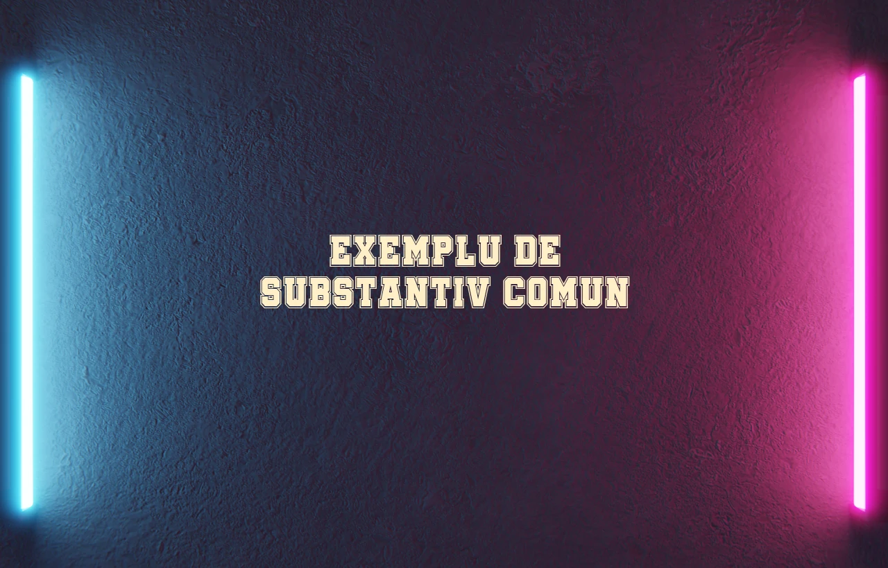 Exemplu de substantiv comun
