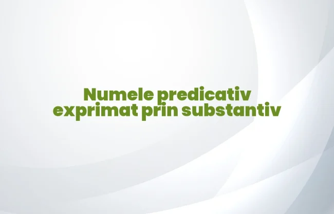 nume predicativ exprimat prin substantiv