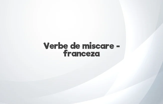 verbe de miscare franceza