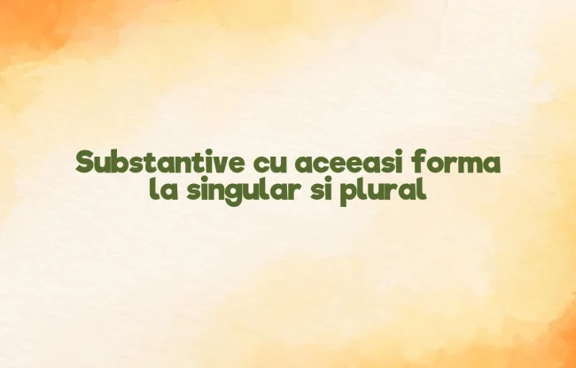 substantive cu aceeasi forma la singular si plural
