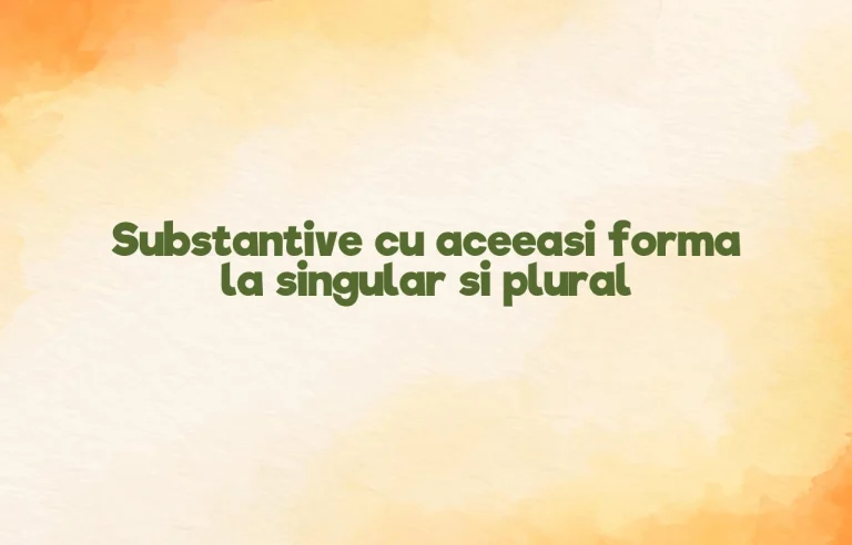 substantive cu aceeasi forma la singular si plural