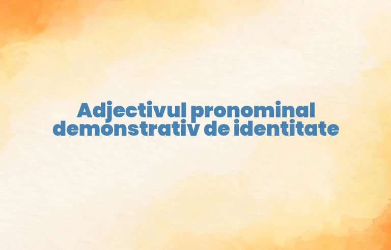 adjectiv pronominal demonstrativ de identitate