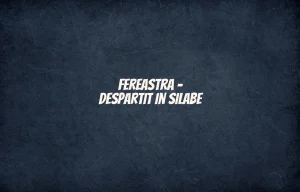 fereastra despartit in silabe