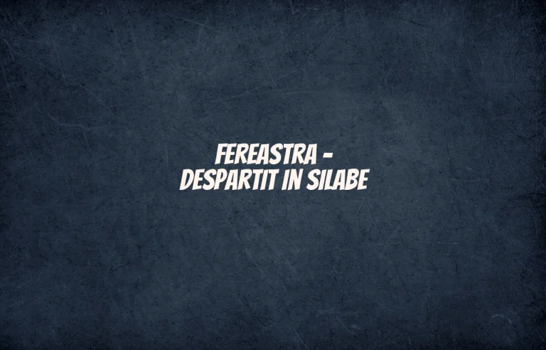 fereastra despartit in silabe