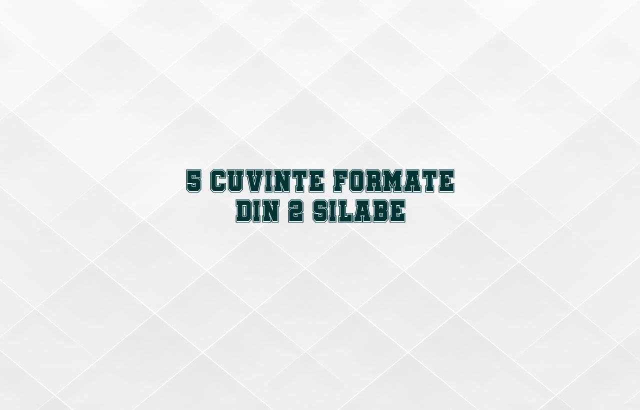 5 cuvinte formate din 2 silabe