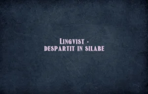 lingvist despartit in silabe