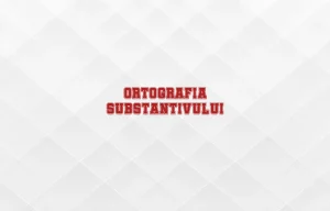 ortografia substantivului