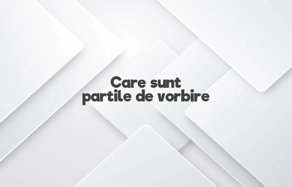 care sunt partile de vorbire