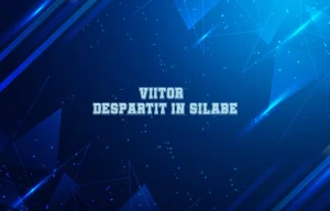viitor despartit in silabe