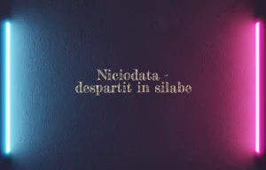 niciodata despartit in silabe
