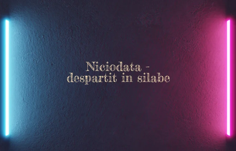 niciodata despartit in silabe
