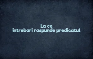 la ce intrebari raspunde predicatul