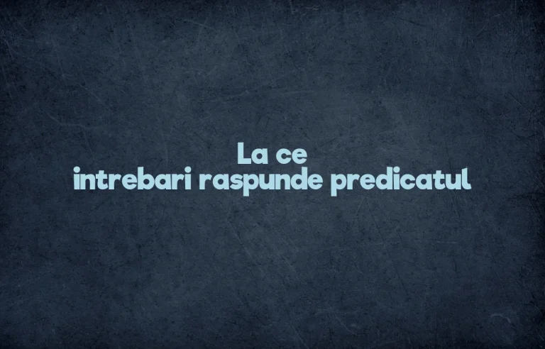 la ce intrebari raspunde predicatul
