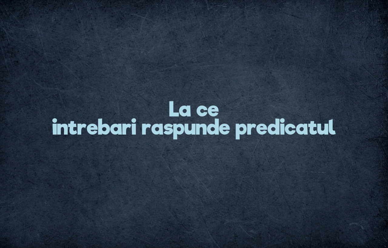 la ce intrebari raspunde predicatul